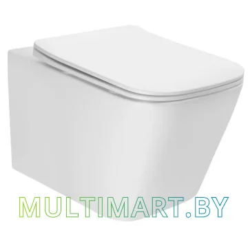 Унитаз AV Engineering Alca Plus AVWHR205 (белый)